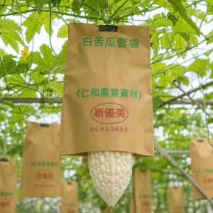 含稅附發票 不含鐵絲白色苦瓜用套袋 蔬果套袋 牛皮紙套袋 園藝 套袋 防鳥 防蟲 防日照 日曬