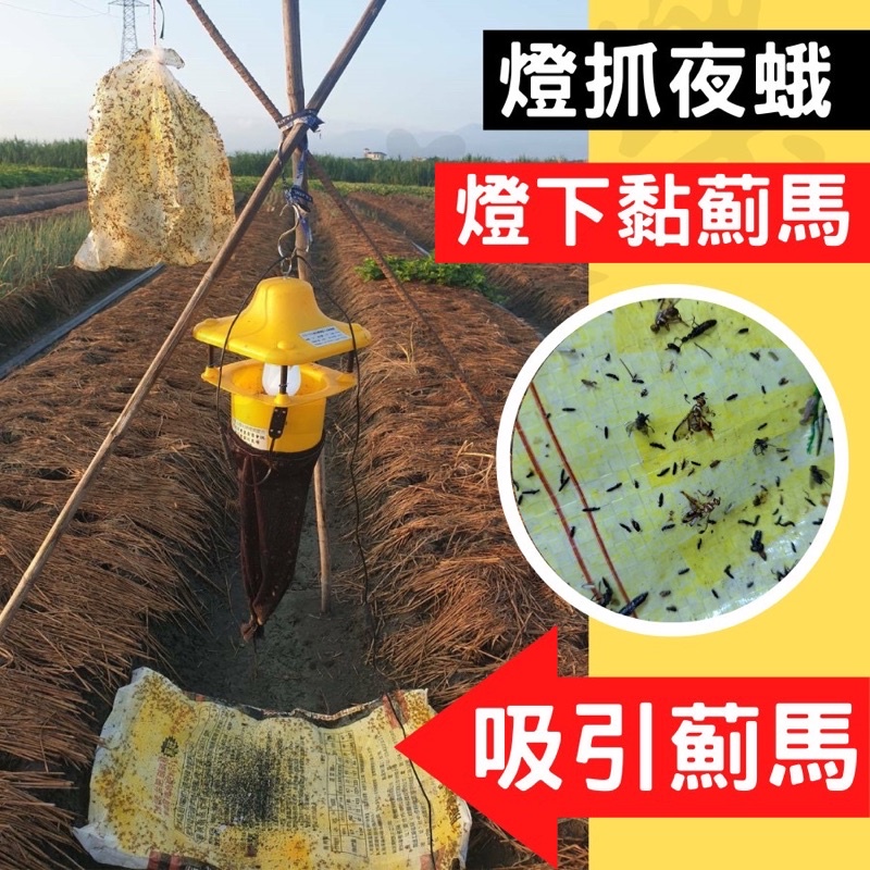 捕蟲燈 捕蛾燈 桃園農改廠技術轉移:圖片 2