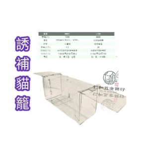 總捉 M601 捕貓 抓貓