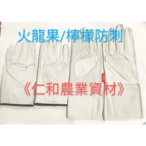 《仁和五金/農業資材》電子發票 小羊皮手套 防刺手套 火龍果手套 防刺 防咬 防護 電焊