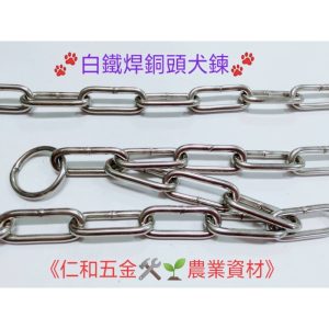 《仁和五金/農業資材》含稅附發票 白鐵焊接銅頭犬鍊 犬鏈 狗鏈 鏈條 6#6尺 8#6尺