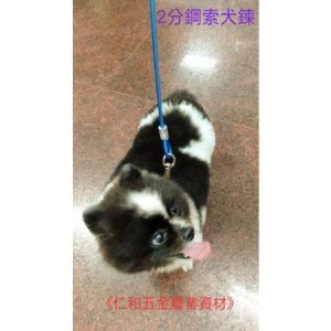 《仁和五金/農業資材》含稅附發票 鋼索犬鍊 狗鍊 寵物鍊 咬不斷 拉繩 2分 寵物繩 單鈎 6尺長/8尺長