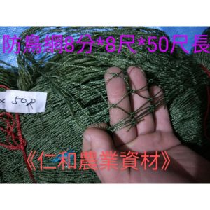 《仁和農業資材》含稅 防鳥網 圍鳥網 圍雞網 萬用網