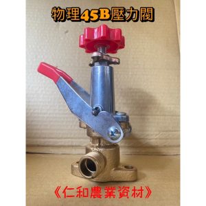 物理牌 WL-45B安全拚 安全閥 噴霧機配件 高壓機 噴霧機 調壓 安全弁 物理