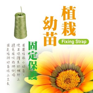 400米綠色繩 固定帶 籬笆 圍籬 園藝器具 花卉工具 花園 庭院 久統