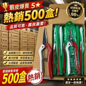 《仁和五金/農業資材》含稅附發票 獅王芽切剪 園藝剪 採果剪 花剪 園藝 剪刀 萬用剪 小樹枝剪 CP質最高 整盒另賣場