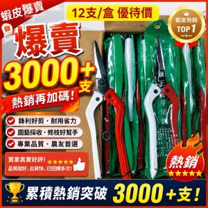 《仁和五金/農業資材》12支/盒含稅 獅王芽切剪 園藝剪 採果剪 花剪 園藝 芽剪 獅王 便宜好用 人手一支