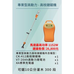 《仁和五金/農業資材》含稅附發票 東林 東林高枝鏈鋸機(20Ah)組合 東林