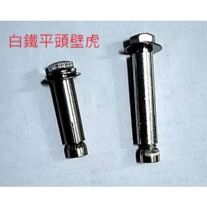 《仁和農業資材》電子發票 白鐵平頭壁虎 白鐵壁虎 平頭壁虎 專利壁虎 膨脹螺絲